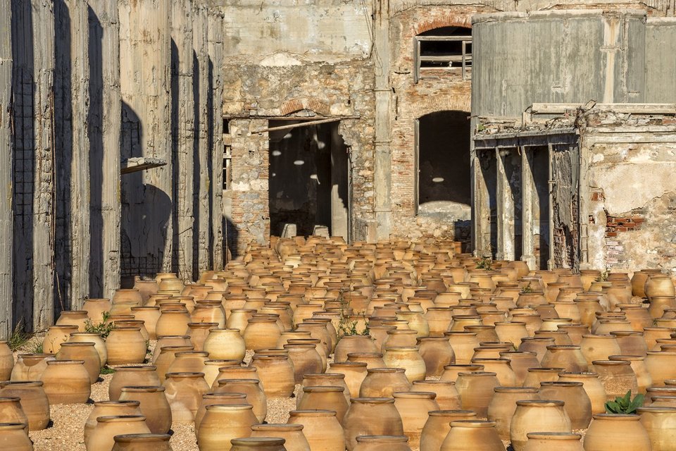 Δανάη Στράτου