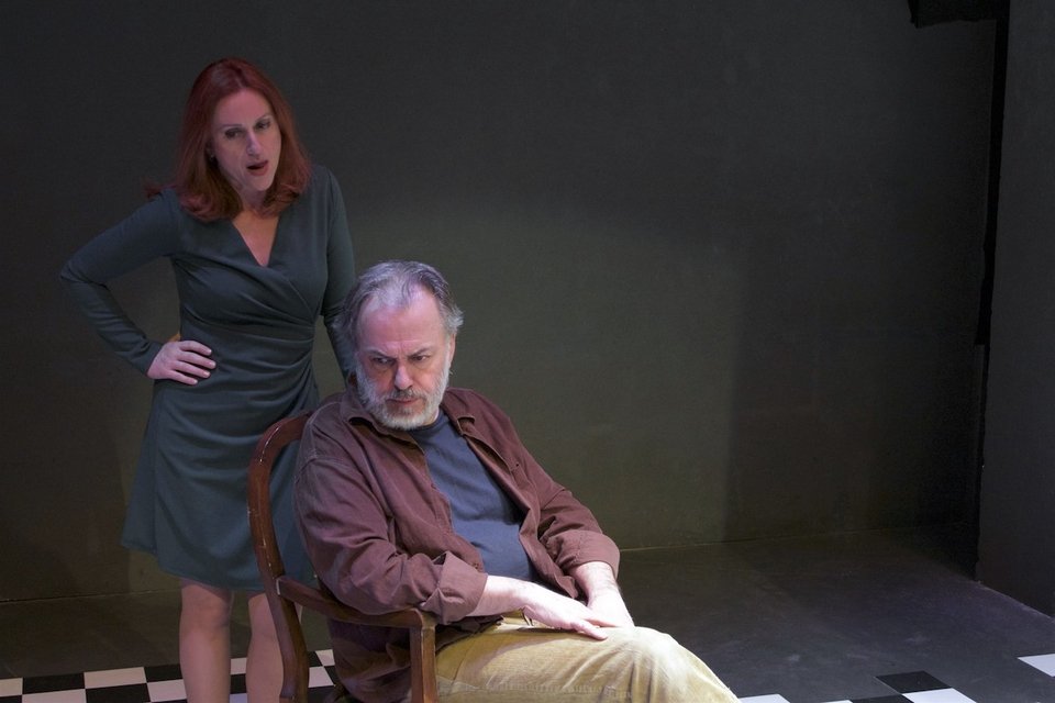 Ο Ίψεν με το έργο του αυτό, όχι μόνο αμφισβητεί την ηθική και πνευματική ικανότητα της πλειονότητας του λαού να κρίνει πολιτικά, να επιλέγει και να αποφασίζει ώριμα, αλλά αποδεικνύει περίτρανα και την αντιφατική συμπεριφορά του «μικροαστού», ο οποίος αμυνόμενος, υπερασπίζεται το πλειοψηφικό σύστημα την ίδια στιγμή που συμφωνεί ότι η πλειονότητα του λαού είναι βλάκες