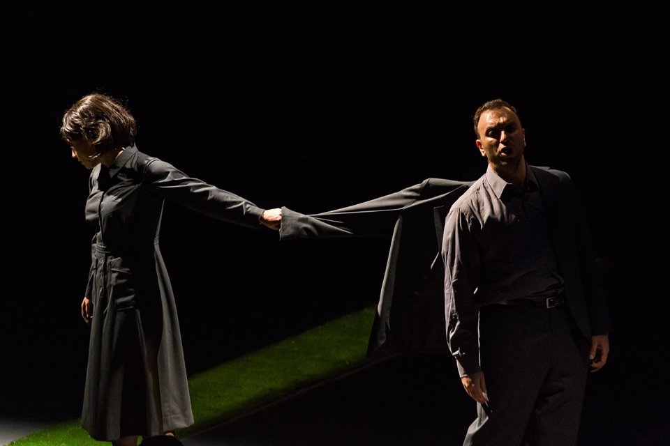 Το βασικό υλικό του έργου είναι οι αναμνήσεις των δύο χαρακτήρων, τα συναισθήματά τους και οι σκέψεις τους για τα ναζιστικά εγκλήματα