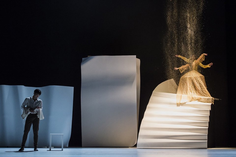 Τα Μπαλέτα του Μόντε Κάρλο δημιουργήθηκαν το 1909 από τον Σεργκέι Ντιαγκίλεφ και αμέσως συνεργάστηκαν με τους σημαντικότερους σολίστες της εποχής, όπως ο Νιζίνσκι και η Άννα Πάβλοβα