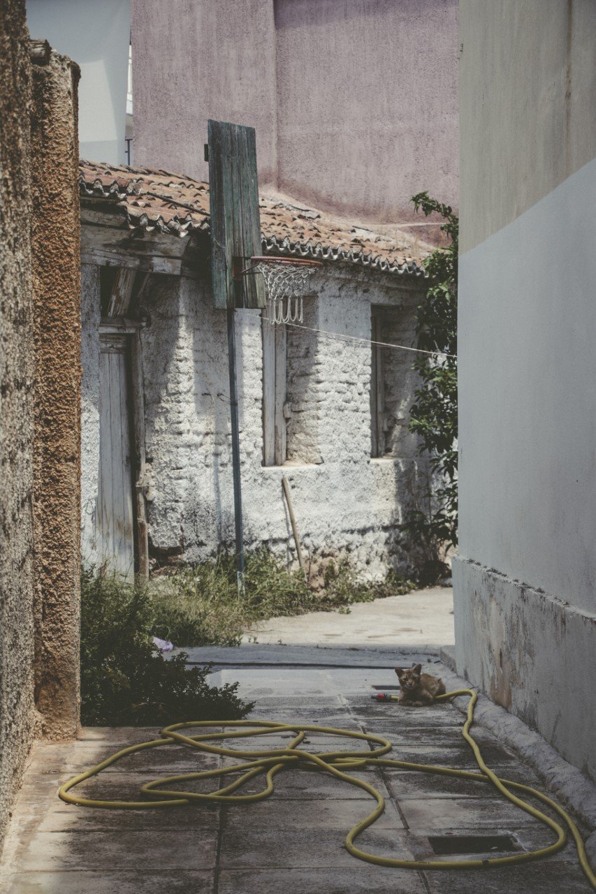 Φεστιβάλ για τον Συνοικισμό της Ελευσίνας -Γειτονιά του 1925 με 2.500 πρόσφυγες [πρόγραμμα]  | iefimerida.gr 0