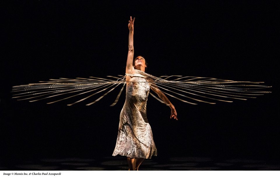 Η ακροβατική ομάδα των MOMIX μέσα από 10 συναρπαστικά στιγμιότυπα [εικόνες]  | iefimerida.gr 2