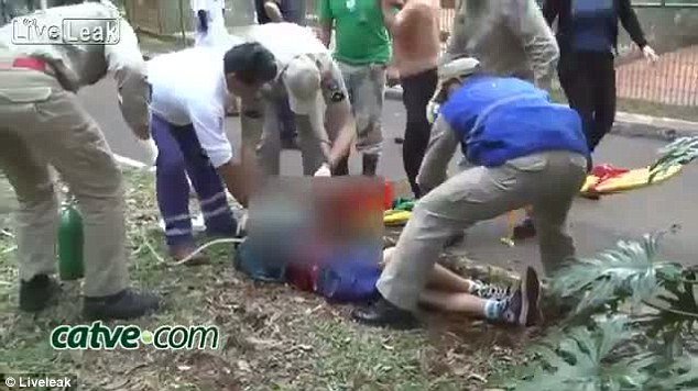 Σκηνές αλλοφροσύνης στη Βραζιλία: Τίγρης επιτέθηκε σε αγόρι και ακρωτηρίασε το χέρι του [εικόνες] | iefimerida.gr 3