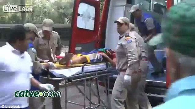 Σκηνές αλλοφροσύνης στη Βραζιλία: Τίγρης επιτέθηκε σε αγόρι και ακρωτηρίασε το χέρι του [εικόνες] | iefimerida.gr 5