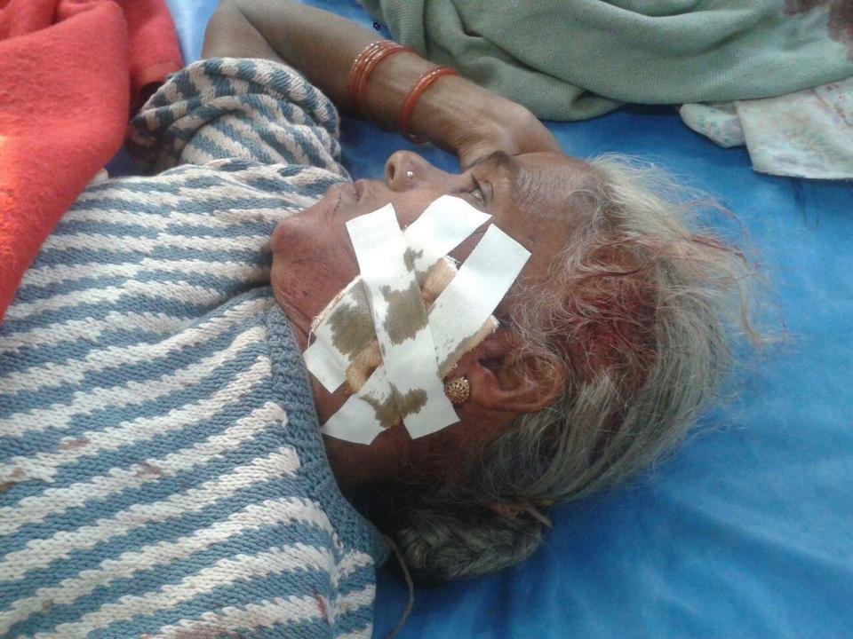 Τίγρης εμφανίστηκε μέσα από το δάσος κι έσπειρε τον τρόμο σε ένα γαμήλιο γλέντι στην Ινδία [βίντεο]  | iefimerida.gr 0