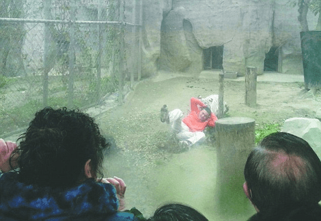 Παρανοϊκός Κινέζος πήδηξε σε κλουβί με τίγρεις και προσέφερε τον εαυτό του ως τροφή επειδή βαριόταν [εικόνες] | iefimerida.gr 2