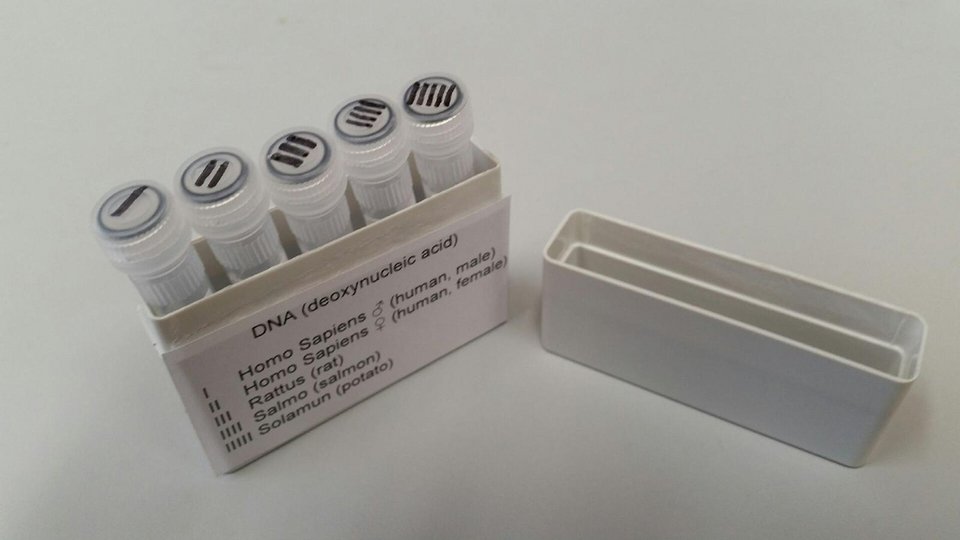 Εθαψαν χρονοκάψουλα σε περίπτωση που εξαφανιστεί η ανθρωπότητα: Με κινητό, πιστωτική, φωτογραφίες, σπόρους [εικόνα] | iefimerida.gr 0