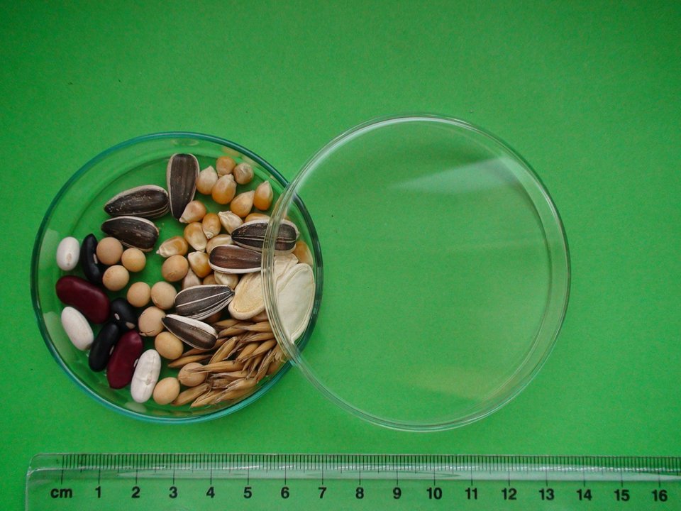 Εθαψαν χρονοκάψουλα σε περίπτωση που εξαφανιστεί η ανθρωπότητα: Με κινητό, πιστωτική, φωτογραφίες, σπόρους [εικόνα] | iefimerida.gr 1