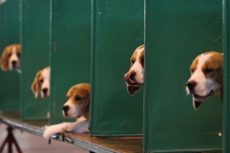 Τα συγκλονιστικότερα στιγμιότυπα της προηγούμενης εβδομάδας... [εικόνες] | iefimerida.gr 10