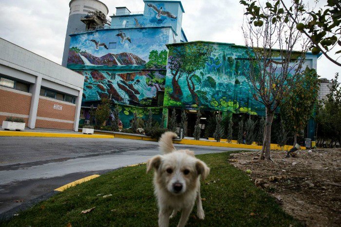 Ζωντάνεψε ξανά η βιομηχανία ΤΙΤΑΝ -Παρέμβαση με χίλια χρώματα [εικόνες] | iefimerida.gr 0