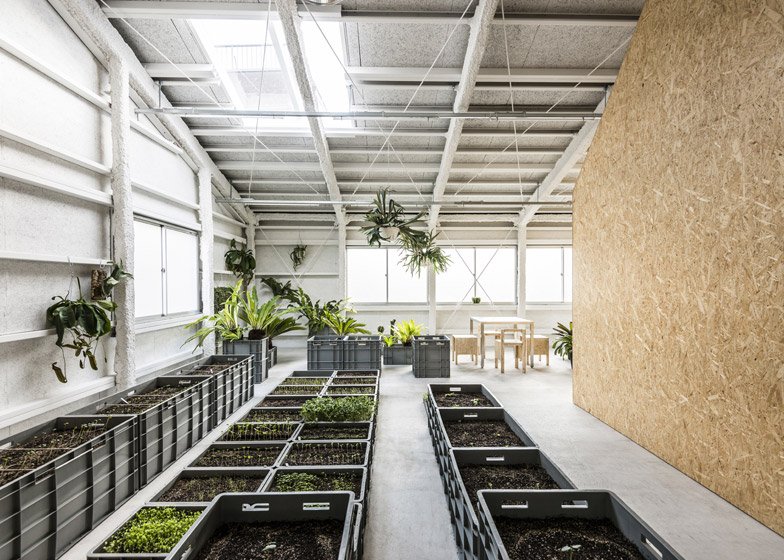 Το εργοστάσιο που μεταμορφώθηκε σε μίνιμαλ σπίτι με εσωτερικούς κρεμαστούς κήπους [εικόνες] | iefimerida.gr 10