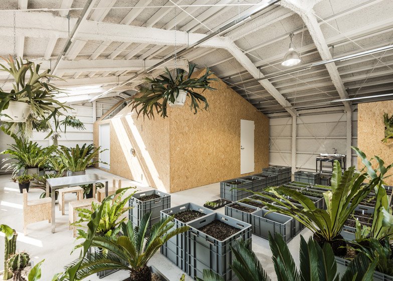 Το εργοστάσιο που μεταμορφώθηκε σε μίνιμαλ σπίτι με εσωτερικούς κρεμαστούς κήπους [εικόνες] | iefimerida.gr 12