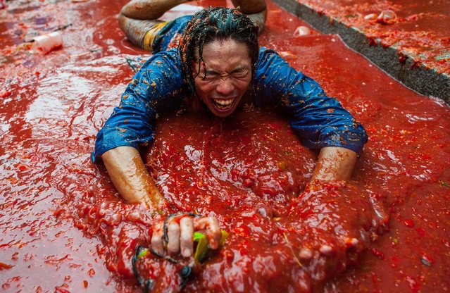 La Tomatina: Ο μεγαλύτερος ντοματοπόλεμος στον κόσμο ξεπέρασε φέτος κάθε προηγούμενο [εικόνες]   | iefimerida.gr 3