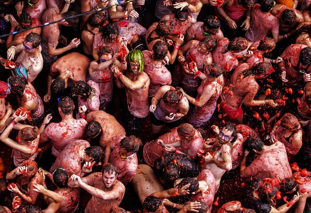 La Tomatina: Ο μεγαλύτερος ντοματοπόλεμος στον κόσμο ξεπέρασε φέτος κάθε προηγούμενο [εικόνες]   | iefimerida.gr 10