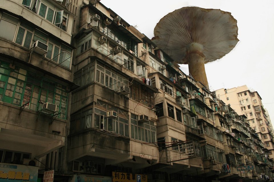 Οι πόλεις του μέλλοντος στη Διπλάρειο Σχολή -Tάσεις, βίντεο, μακέτες [εικόνες]  | iefimerida.gr 0