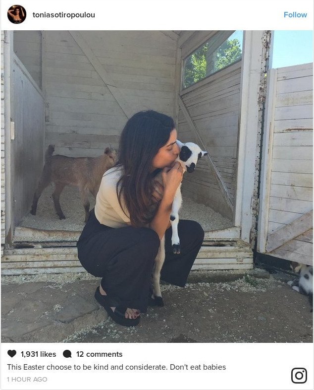 Τόνια Σωτηροπούλου: Αυτό το Πάσχα να είστε καλοί, μην τρώτε μωρά αρνιά [εικόνα] | iefimerida.gr 0