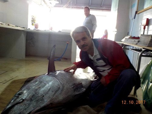 Δεν μπορούσε να σηκώσει τα δίχτυα: Ψαράς στη Λευκάδα έβγαλε τόνο 165 κιλών [εικόνες] | iefimerida.gr 1