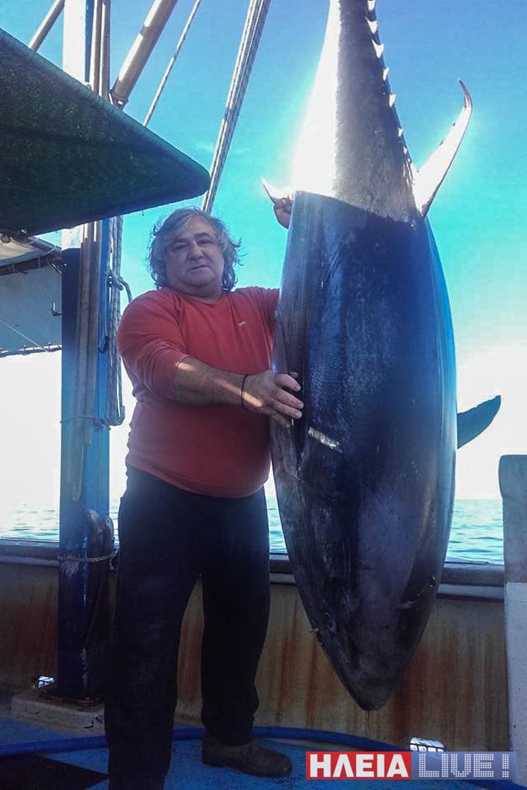 Ψαράς από την Ηλεία... έβγαλε τόνο 226 κιλών [εικόνες] | iefimerida.gr 0
