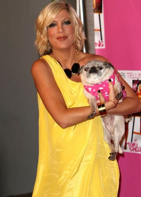 Celebrities που μοιάζουν με τα σκυλιά τους [εικόνες] | iefimerida.gr 0
