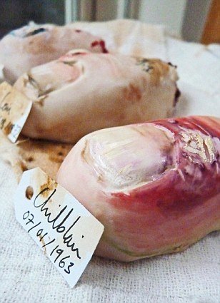 Οι πιο αηδιαστικές τούρτες που φτιάχτηκαν ποτέ! [εικόνες] | iefimerida.gr 3