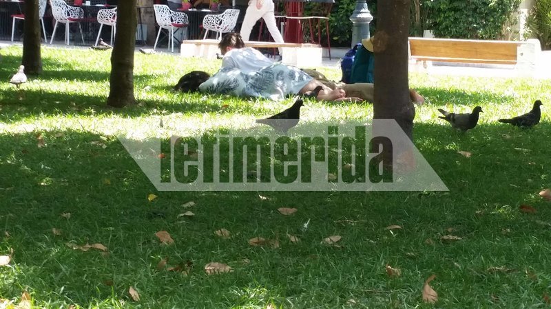 Η ζέστη ξάπλωσε τους τουρίστες στο Σύνταγμα και έστειλε κόσμο στις πλαζ [εικόνες] | iefimerida.gr 0