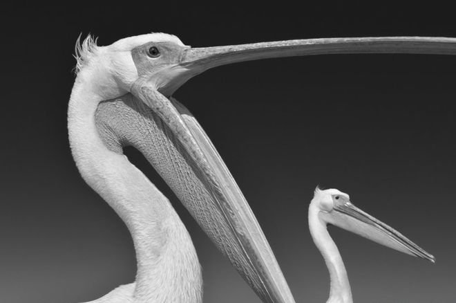 Οι καλύτερες ταξιδιωτικές φωτογραφίες της χρονιάς (και οι άνθρωποι που τις έβγαλαν) [εικόνες] | iefimerida.gr 2