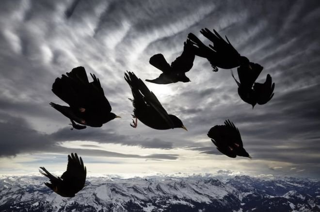 Οι καλύτερες ταξιδιωτικές φωτογραφίες της χρονιάς (και οι άνθρωποι που τις έβγαλαν) [εικόνες] | iefimerida.gr 6