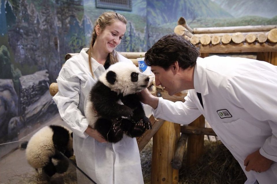Ο πρωθυπουργός του Καναδά «έριξε» το Διαδίκτυο -Φωτογραφήθηκε αγκαλιά με 2 μωρά πάντα [εικόνες] | iefimerida.gr 0