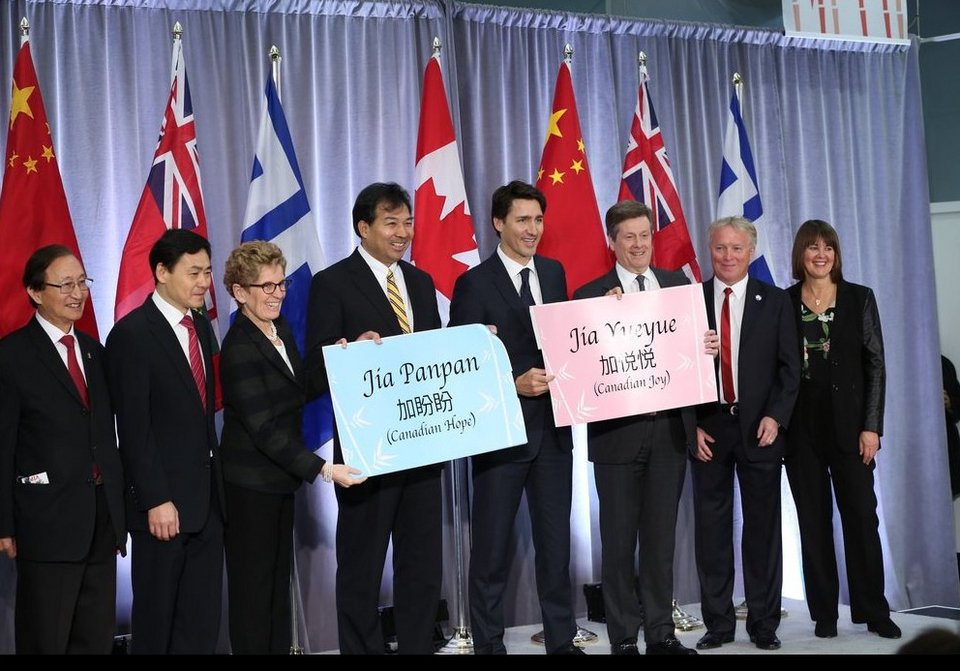 Ο πρωθυπουργός του Καναδά «έριξε» το Διαδίκτυο -Φωτογραφήθηκε αγκαλιά με 2 μωρά πάντα [εικόνες] | iefimerida.gr 2