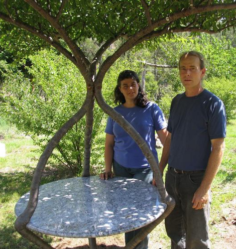 Πώς να μετατρέψετε ένα δέντρο σε καρέκλα χωρίς να το... πετσοκόψετε [εικόνες] | iefimerida.gr 2