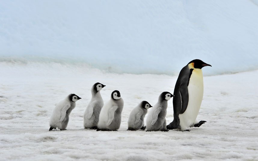 Δέκα λόγοι για ταξίδι το Δεκέμβριο -Πού πρέπει να πάτε και γιατί [εικόνες] | iefimerida.gr 7