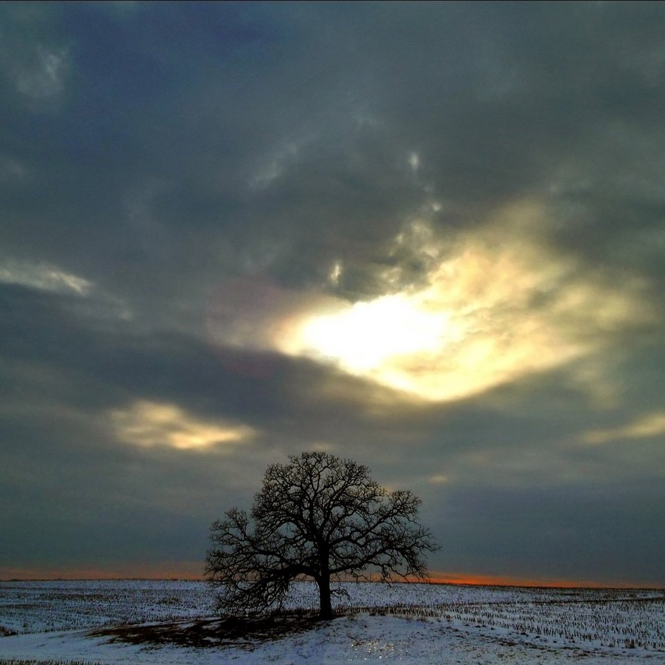 Ενα δέντρο στο πέρασμα του χρόνου -Το φωτογράφιζε κάθε ημέρα, για 12 μήνες [εικόνες] | iefimerida.gr 13