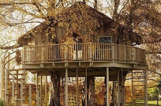 Εντυπωσιακά δενδρόσπιτα για ενήλικες που νιώθουν ακόμα παιδιά [εικόνες] | iefimerida.gr 1