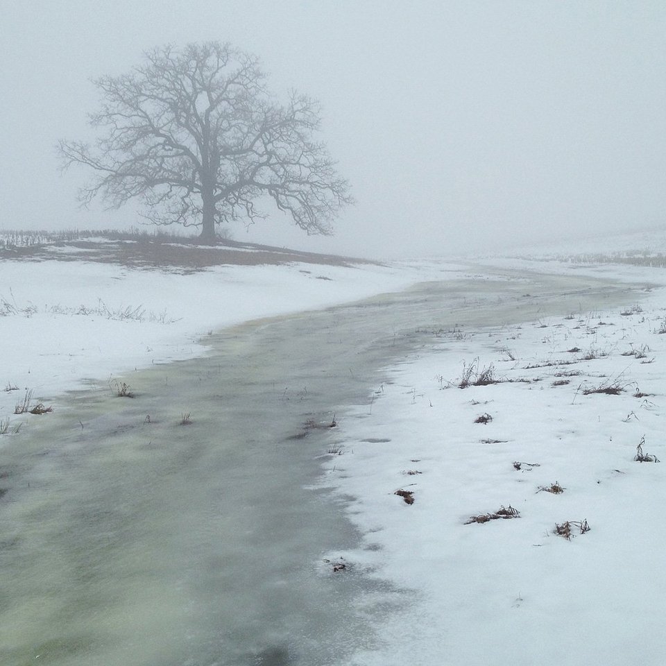 Ενα δέντρο στο πέρασμα του χρόνου -Το φωτογράφιζε κάθε ημέρα, για 12 μήνες [εικόνες] | iefimerida.gr 19
