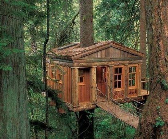 Εντυπωσιακά δενδρόσπιτα για ενήλικες που νιώθουν ακόμα παιδιά [εικόνες] | iefimerida.gr 2
