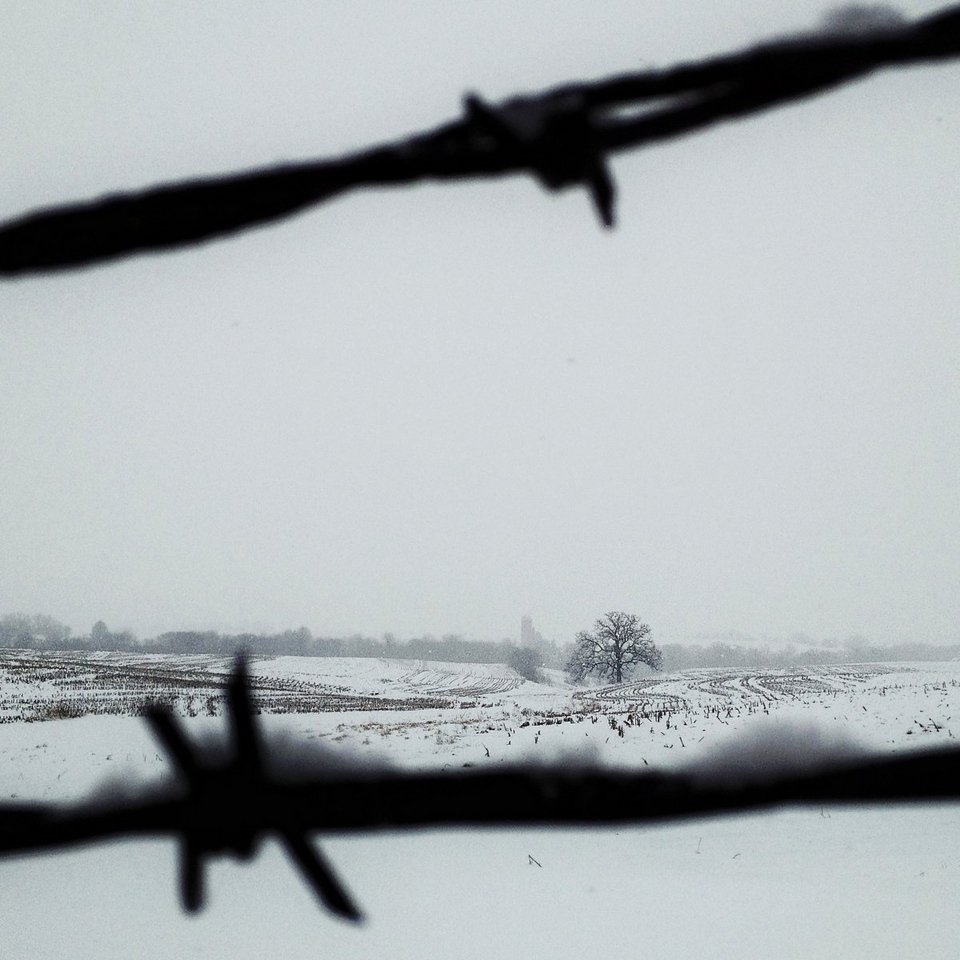 Ενα δέντρο στο πέρασμα του χρόνου -Το φωτογράφιζε κάθε ημέρα, για 12 μήνες [εικόνες] | iefimerida.gr 3