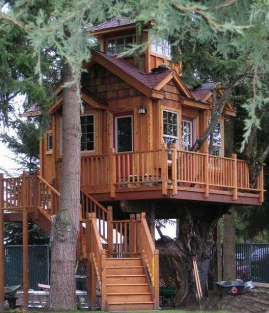 Εντυπωσιακά δενδρόσπιτα για ενήλικες που νιώθουν ακόμα παιδιά [εικόνες] | iefimerida.gr 4