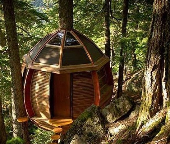 Εντυπωσιακά δενδρόσπιτα για ενήλικες που νιώθουν ακόμα παιδιά [εικόνες] | iefimerida.gr 5