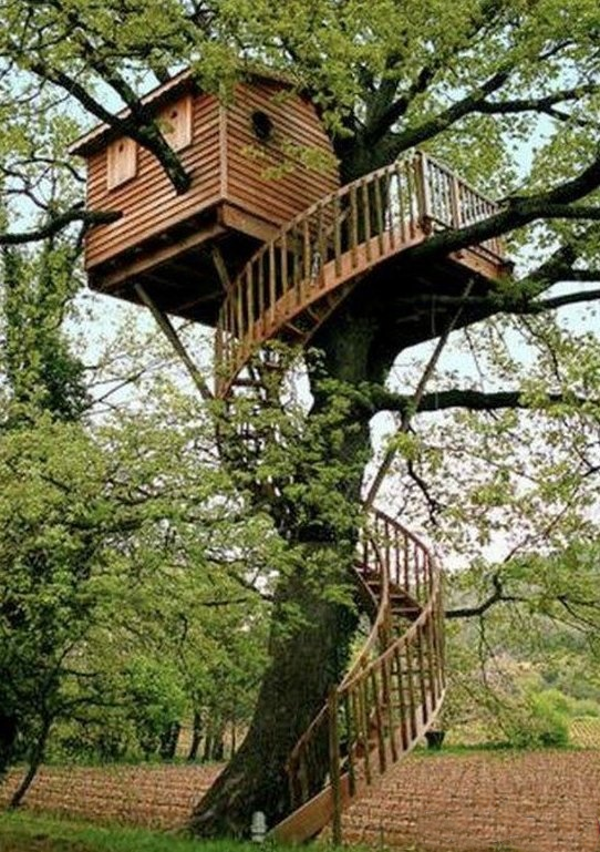 Εντυπωσιακά δενδρόσπιτα για ενήλικες που νιώθουν ακόμα παιδιά [εικόνες] | iefimerida.gr 6