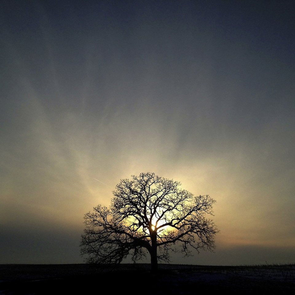 Ενα δέντρο στο πέρασμα του χρόνου -Το φωτογράφιζε κάθε ημέρα, για 12 μήνες [εικόνες] | iefimerida.gr 7