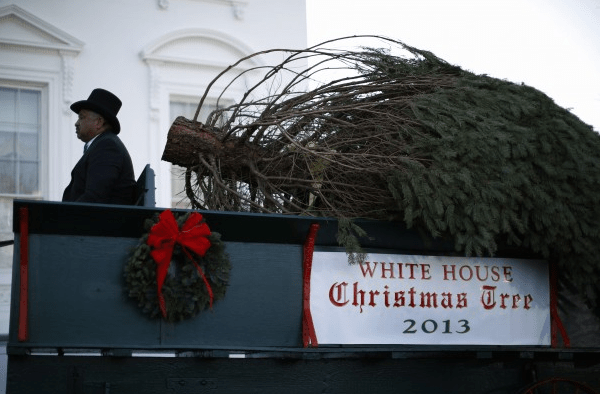 Με... κάρο έφτασε το Χριστουγεννιάτικο δέντρο στο Λευκό Οίκο -Πώς το υποδέχτηκαν η Μισέλ Ομπάμα και οι κόρες της [εικόνες + βίντεο] | iefimerida.gr 3