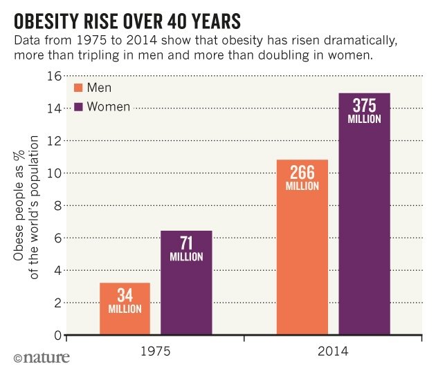 Το 2025 ένας στους 5 θα είναι παχύσαρκος – Πόσο έχει παχύνει ο μέσος άνθρωπος από το 1974; [εικόνα] | iefimerida.gr 0