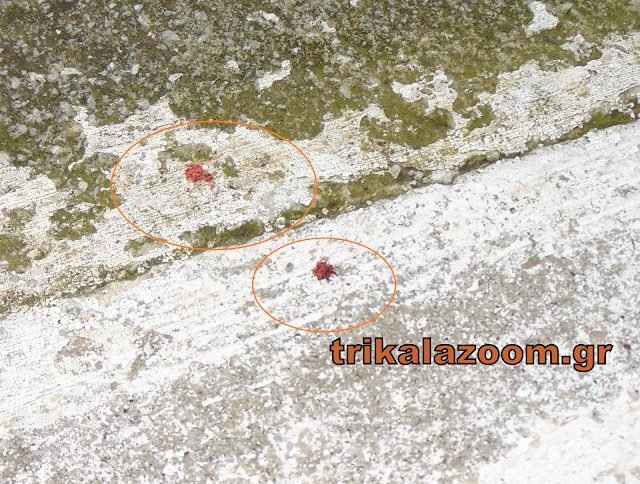 «Την κυνηγούσε  με το μαχαίρι για να τη σφάξει»- Σοκάρουν οι μαρτυρίες των γειτόνων για το φονικό στα Τρίκαλα [εικόνες] | iefimerida.gr 2