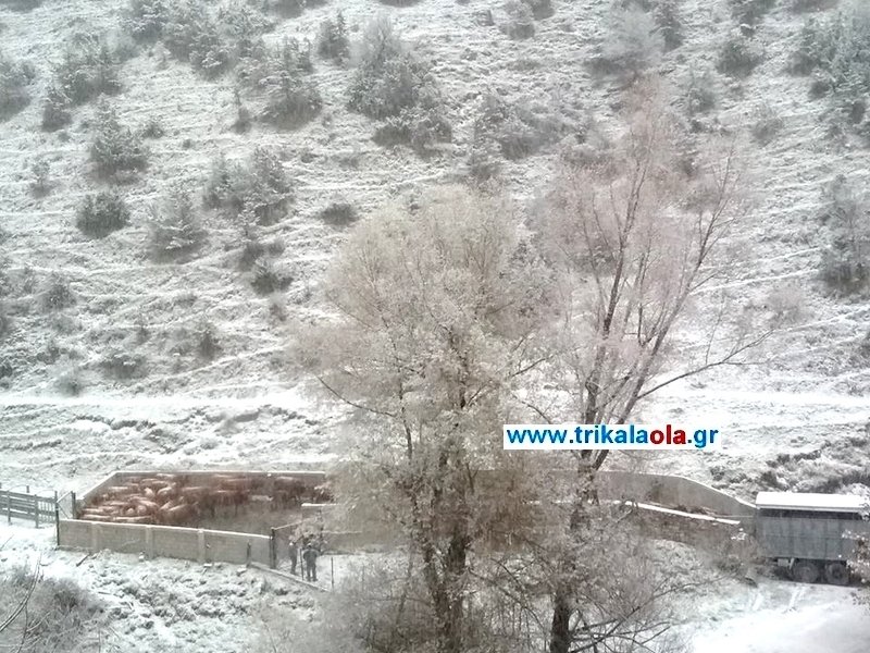 Οι φωτογραφίες είναι από το χωριό Χαλίκι Ασπροποτάμου, το οποίο ντύθηκε στα λευκά σήμερα.