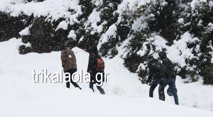 Το ένα μέτρο έφτασε το χιόνι στα Τρίκαλα- Απαραίτητες οι αλυσίδες [εικόνες & βίντεο] | iefimerida.gr 0