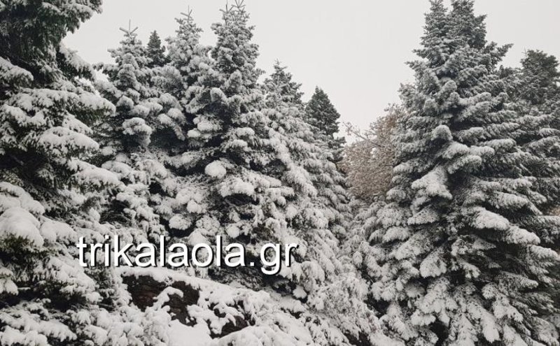 Μαγευτικό τοπίο: Στα λευκά «ντύθηκαν» οι ορεινές περιοχές των Τρικάλων [εικόνες & βίντεο] | iefimerida.gr 1