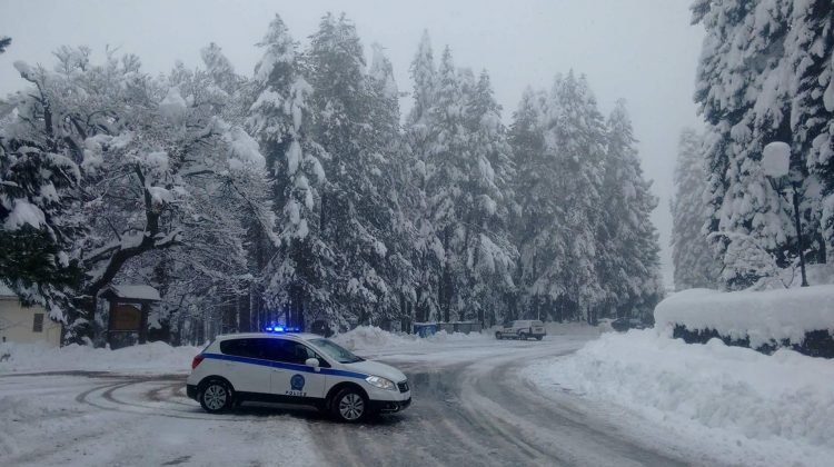 Το χιόνι έχει στρωθεί και στο οδόστρωμα (και μέσα στην Ελάτη), φωτογραφία:trikalavoice.gr