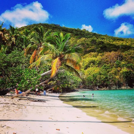 Trip Advisor: Οι καλύτερες παραλίες στον κόσμο – Ανάμεσά τους, το Ελαφονήσι [εικόνες] | iefimerida.gr 10