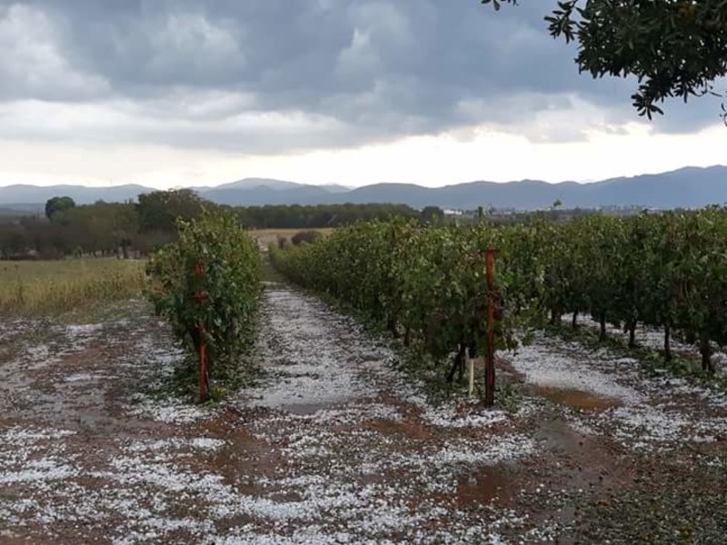 Στα λευκά η Αρκαδία, το «έστρωσε» με χαλάζι -Μεγάλες ζημιές, αυτοκίνητο έπεσε σε γκρεμό [εικόνες & βίντεο] | iefimerida.gr 3