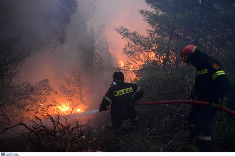 Νέες αναζωπυρώσεις στο Καπανδρίτι -Δάση, σπίτια και ΙΧ έγιναν στάχτη [εικόνες] | iefimerida.gr 1